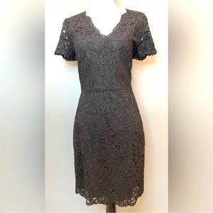 DKNY Lace Dress in Charcoal Gray